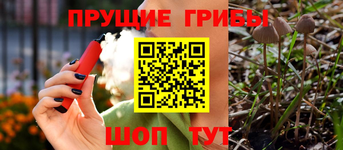 Можга  Галлюциногенные грибы Cubensis  Вход с VPN 